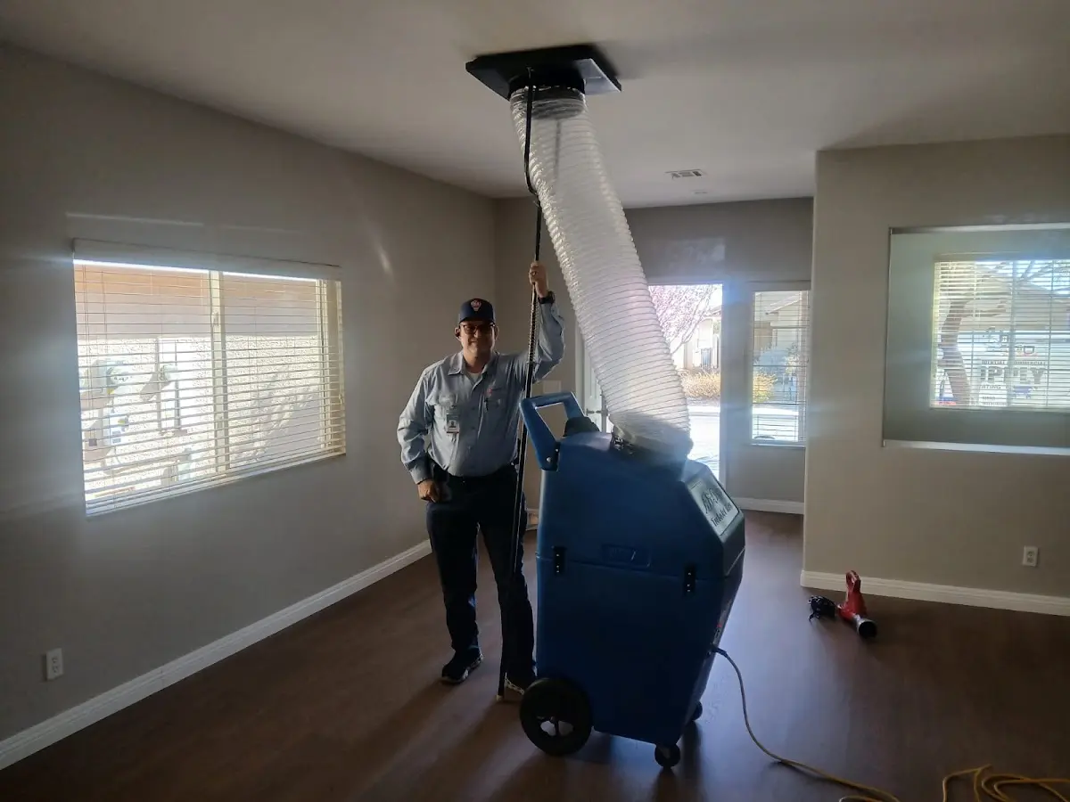Professional Dryer Vent Cleaning work inside a Wildwood home